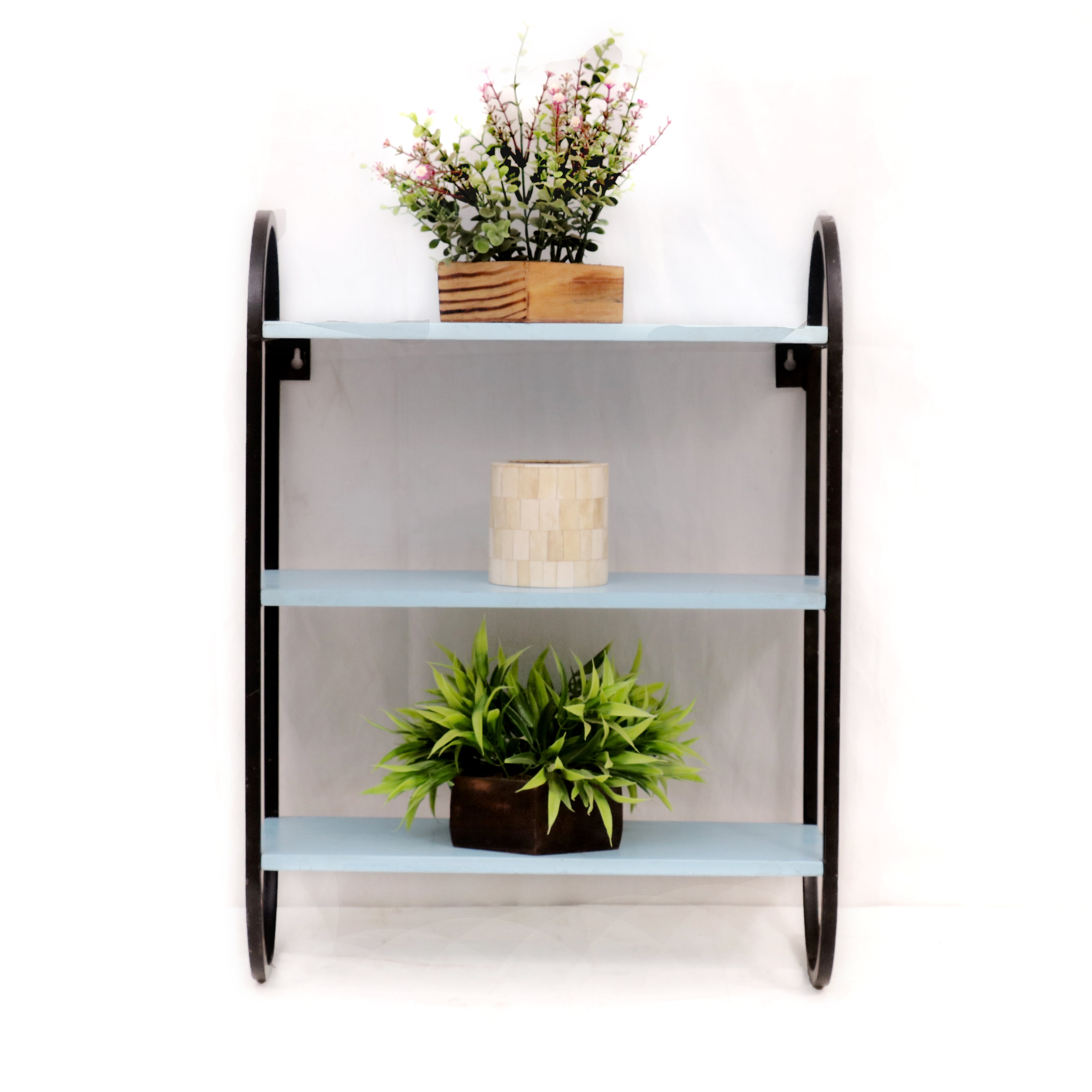 Oval Facing Frame Shelf Rack