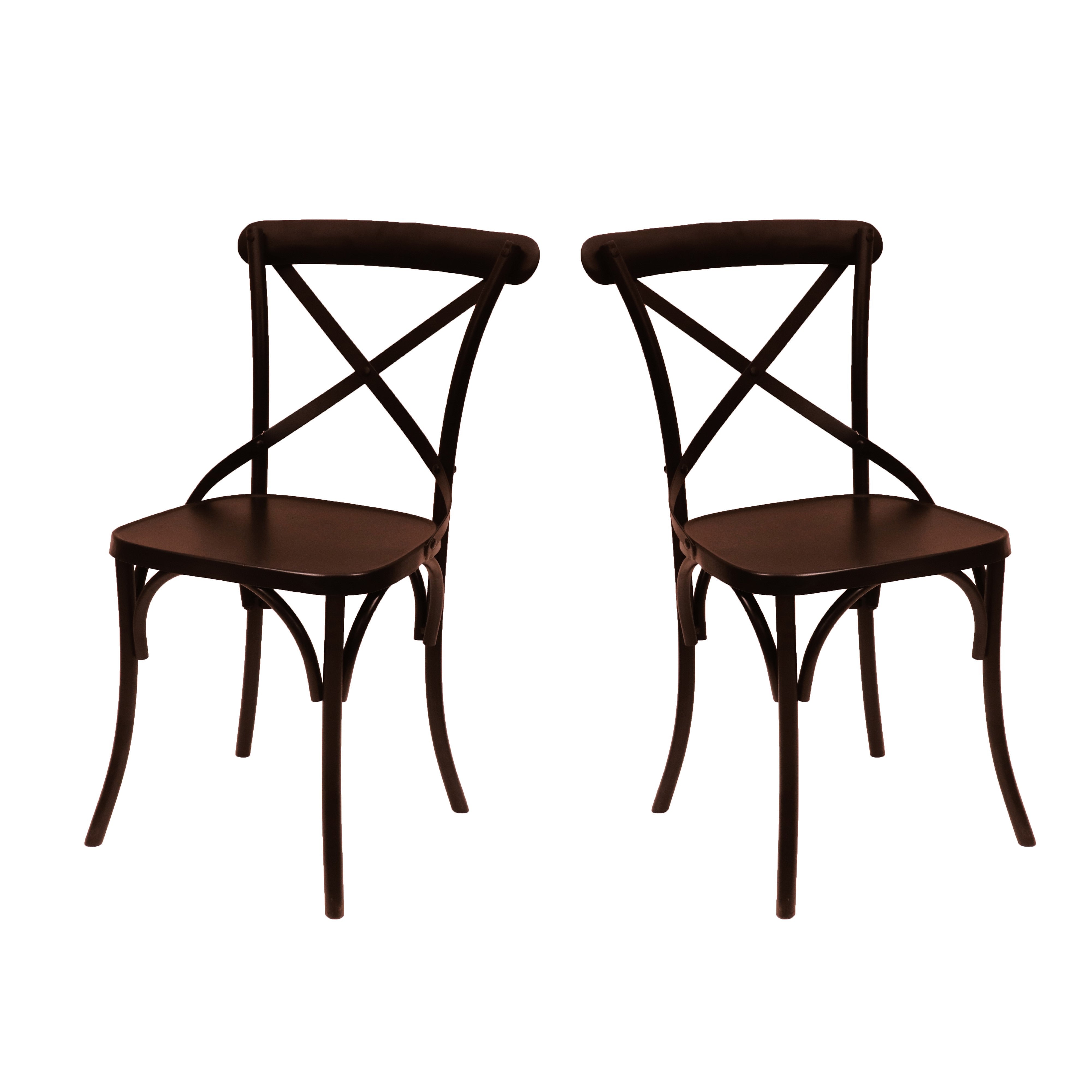 (Set of 2) Black Metal Exotic Hue Chair Dining Chair