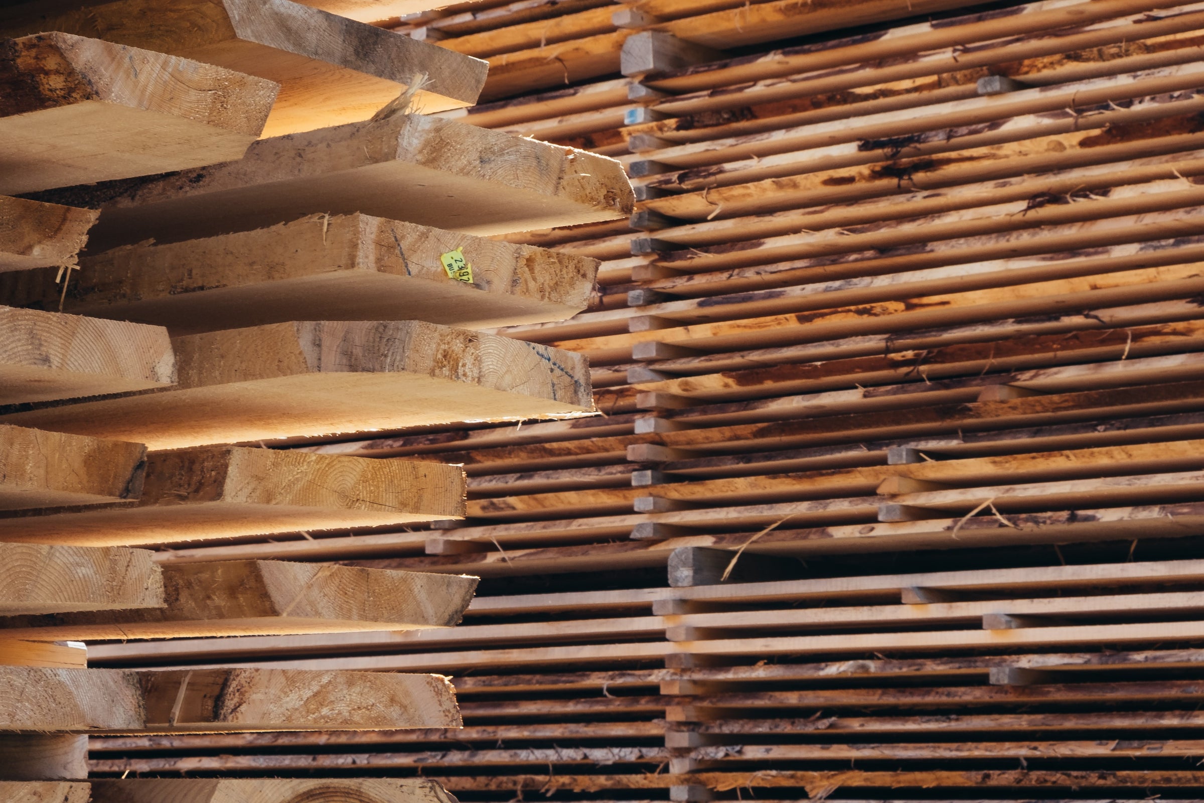 Sheesham vs. Teak Wood 2023 Which Wood is Right for Your Furniture?