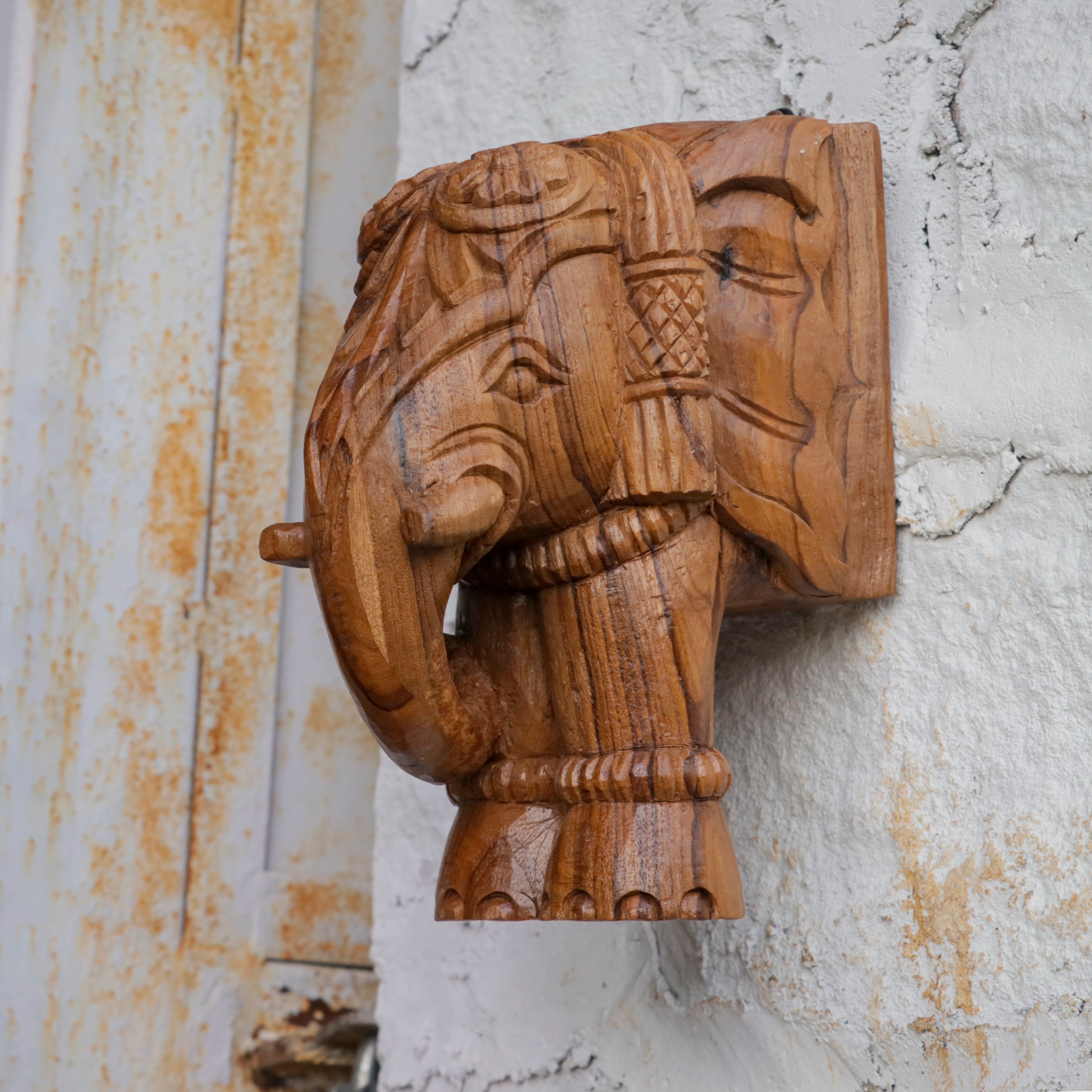 Beautiful Elephant Head door bracket Door Bracket